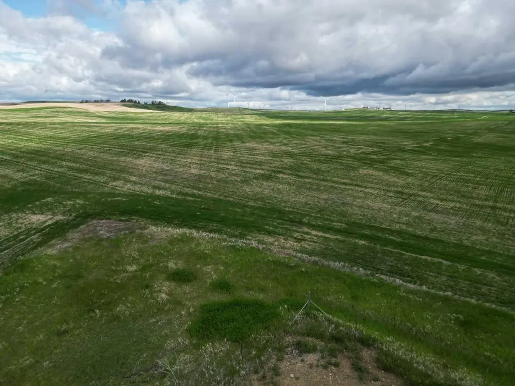NE 1 26 19 W4 Rr 190 Rural Wheatland County AB T0J0Y0