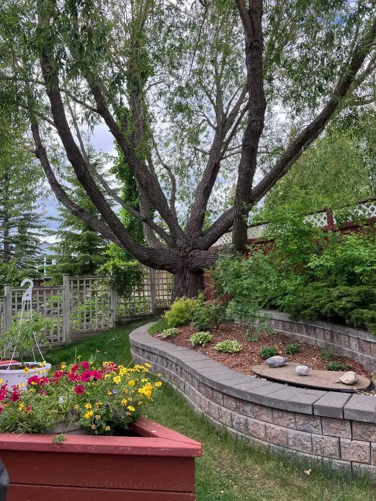 123 Tuscany Hills Park NW Calgary AB T3L 2A3