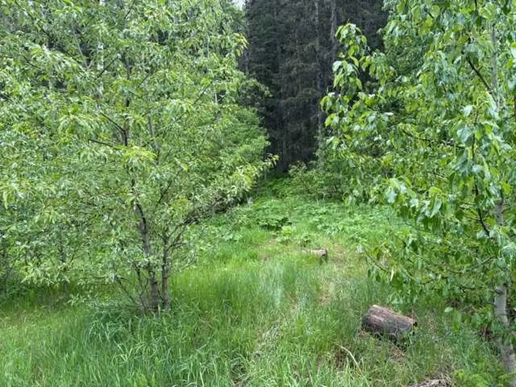 229 Mountain Lion Drive Bragg Creek AB T0L 0K0