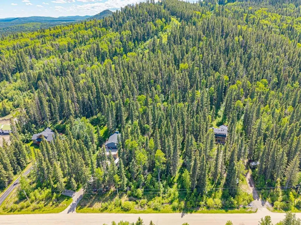 229 Mountain Lion Drive Bragg Creek AB T0L 0K0