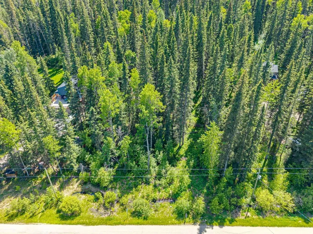229 Mountain Lion Drive Bragg Creek AB T0L 0K0