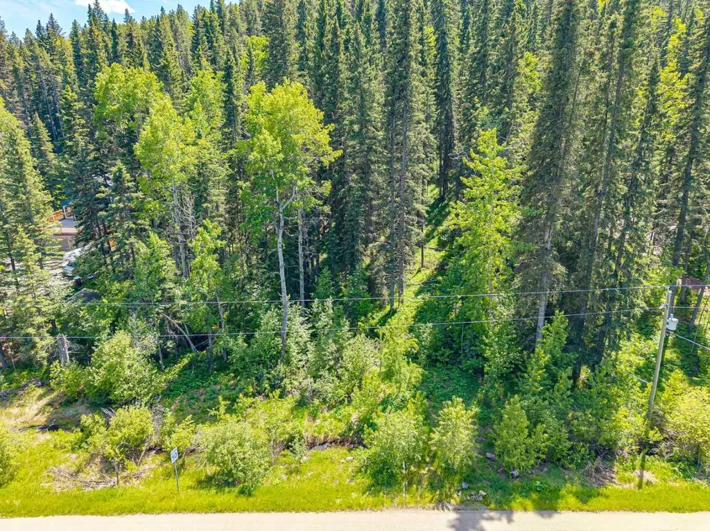 229 Mountain Lion Drive Bragg Creek AB T0L 0K0