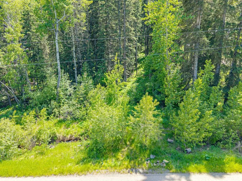 229 Mountain Lion Drive Bragg Creek AB T0L 0K0
