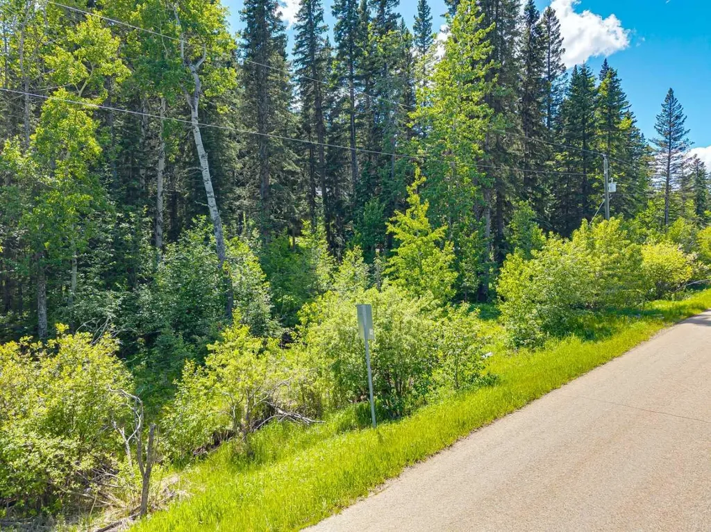 229 Mountain Lion Drive Bragg Creek AB T0L 0K0