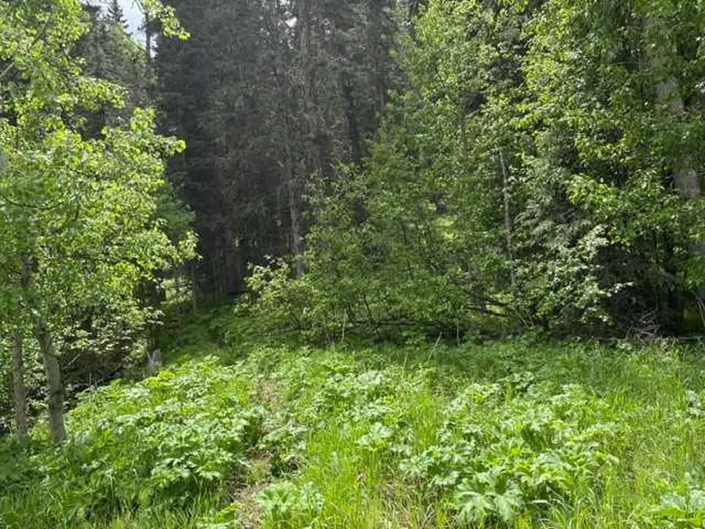 229 Mountain Lion Drive Bragg Creek AB T0L 0K0