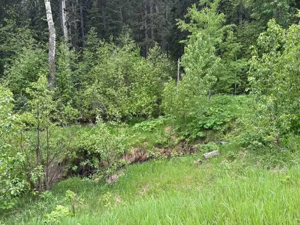 229 Mountain Lion Drive Bragg Creek AB T0L 0K0