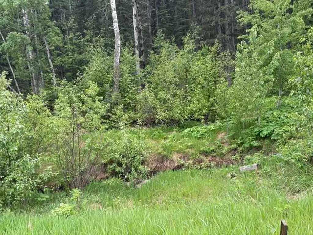 229 Mountain Lion Drive Bragg Creek AB T0L 0K0