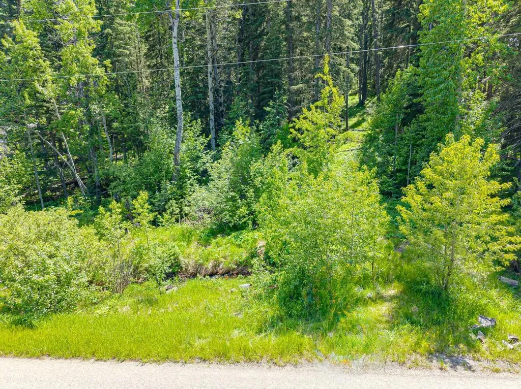 229 Mountain Lion Drive Bragg Creek AB T0L 0K0