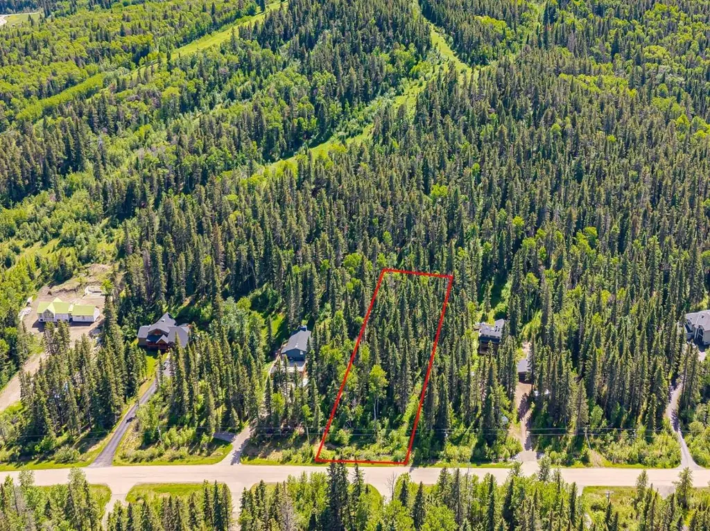 229 Mountain Lion Drive Bragg Creek AB T0L 0K0