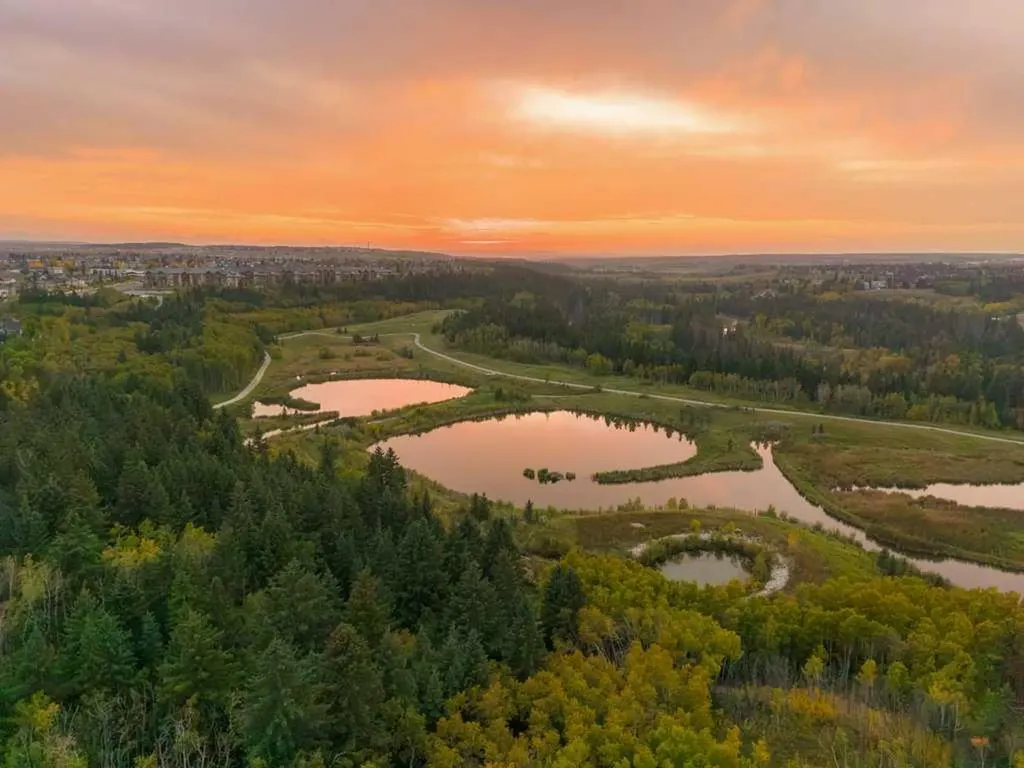 44 Everridge Way SW Calgary AB T2Y 4S7