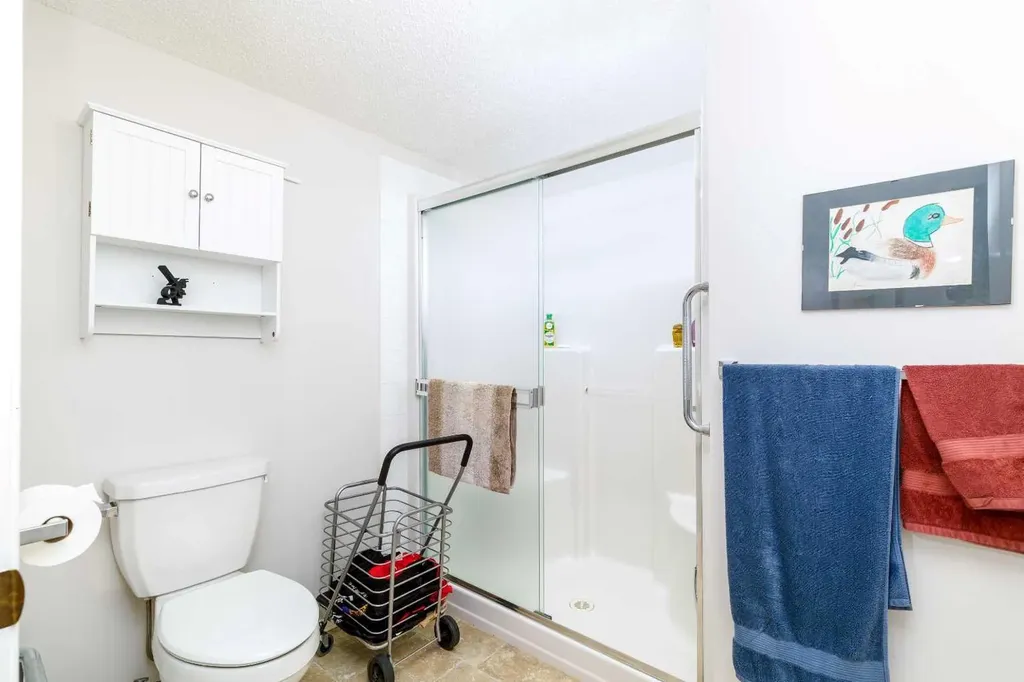 56 Carroll Crescent Red Deer AB T4P 3Y3