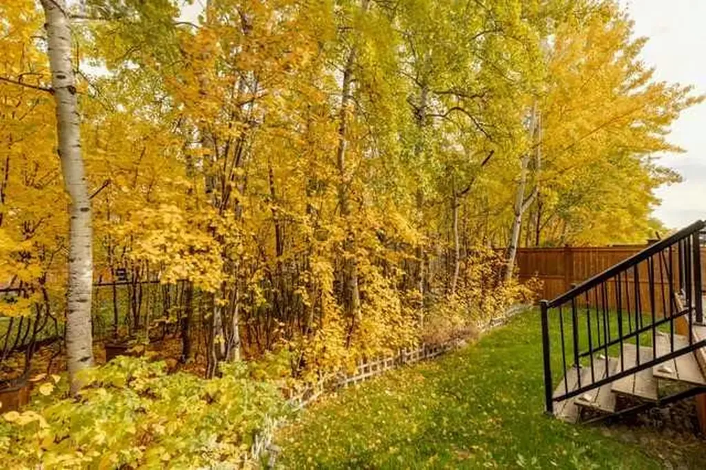 52 Tremblant Way SW Calgary AB T3H 0C4
