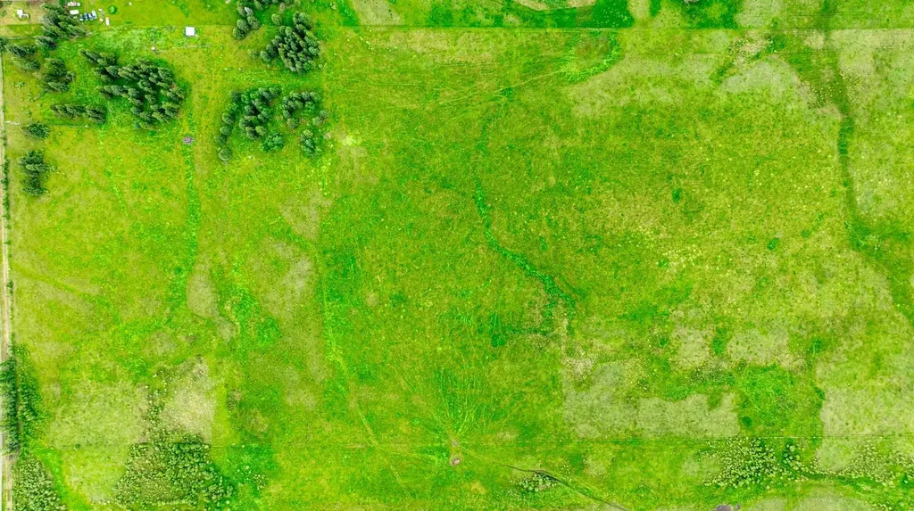 On Township Road 372 Rural Clearwater County AB T0M 0M0