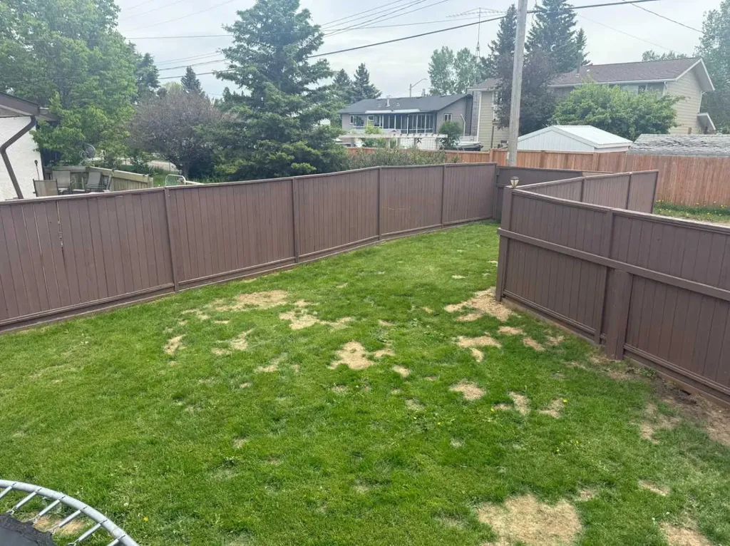 201 9 Avenue NE Sundre AB t0m1x0