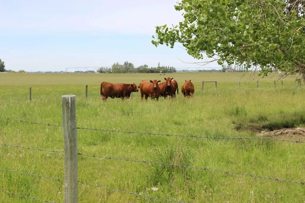 61048 Highway 844 Raymond AB T0K 2S0
