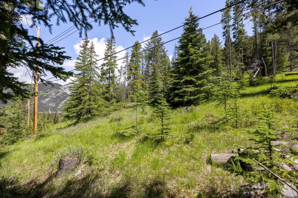 212 St. Julien Road Banff AB T1L 1A9