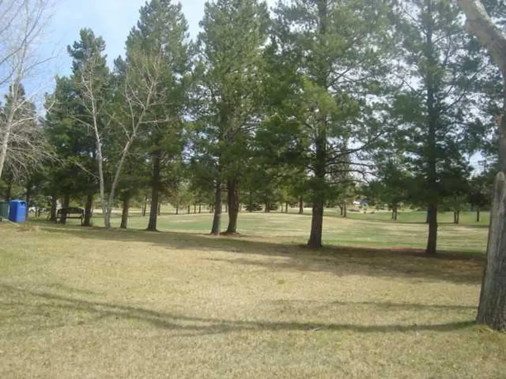 2 Trochu Avenue Trochu AB T0M 2C0