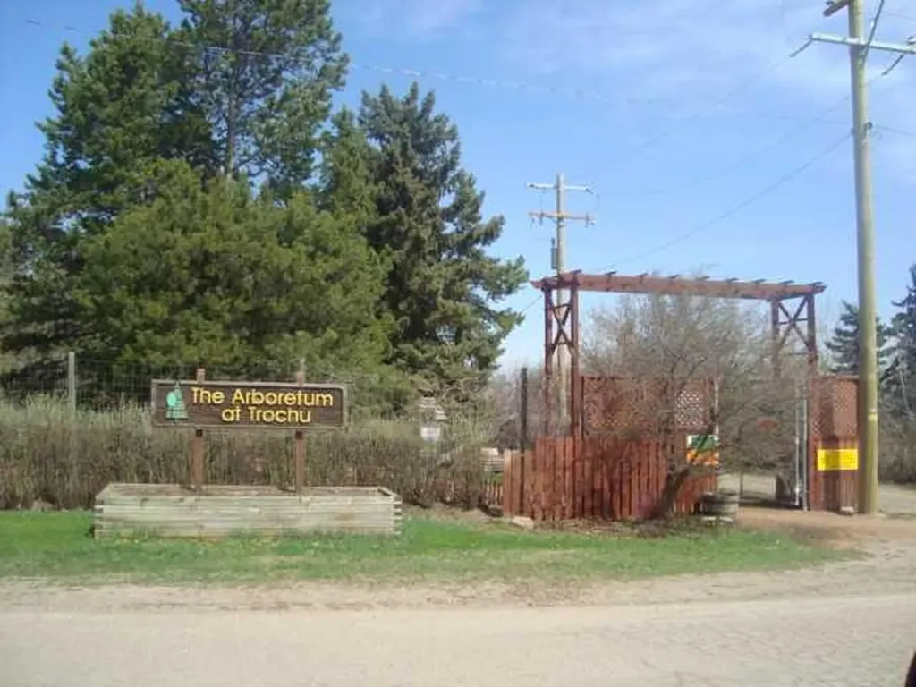 2 Trochu Avenue Trochu AB T0M 2C0