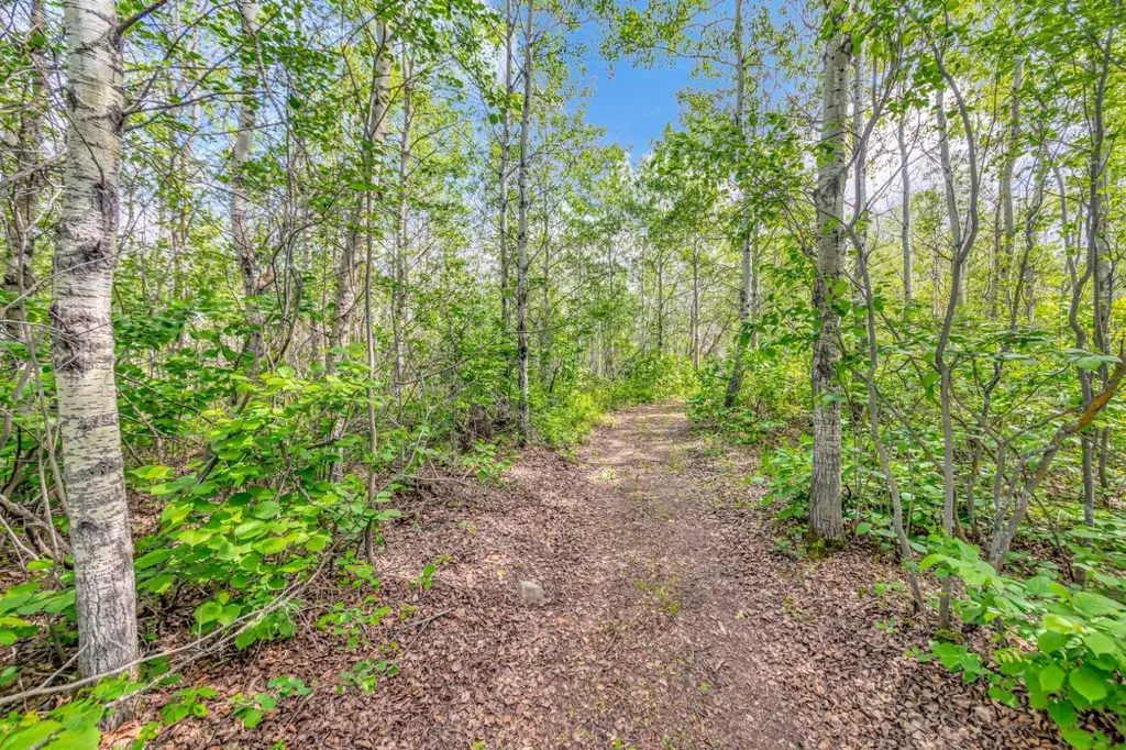 20 Big Gully Road Rural Vermilion River County Of AB T9V 3A7