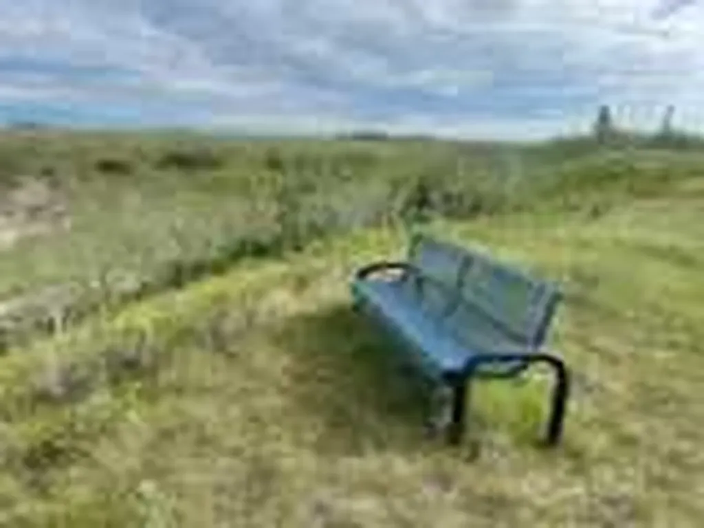 Range 180 431a Township Rural Camrose County AB T4V 2S8