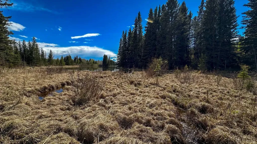 5227 Township Road 320 Rural Mountain View County AB T0M1X0