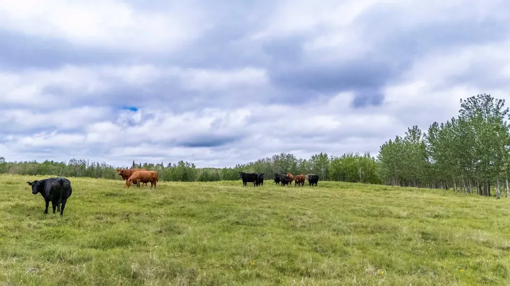 49118 Highway 759 Rural Brazeau County AB T7Z 1S9