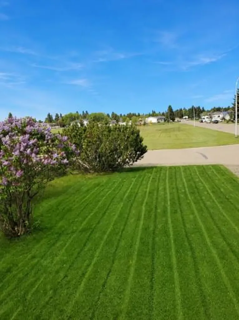 5521 46 Street Rimbey AB T0C 2J0