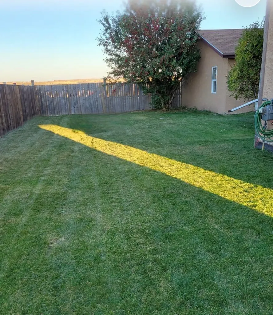5521 46 Street Rimbey AB T0C 2J0