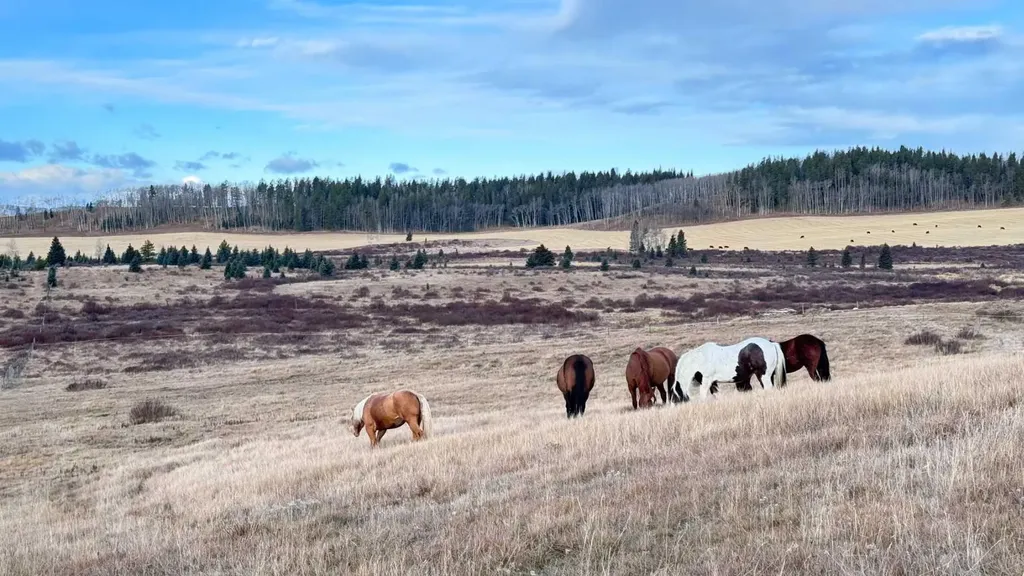 282175 Range Road 55 Rural Rocky View County AB T4C 2W1