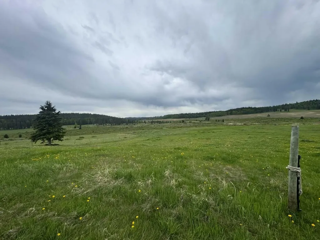 282175 Range Road 55 Rural Rocky View County AB T4C 2W1
