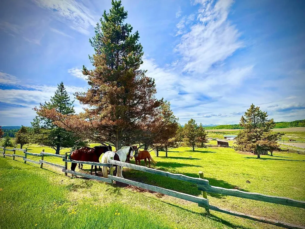 282175 Range Road 55 Rural Rocky View County AB T4C 2W1