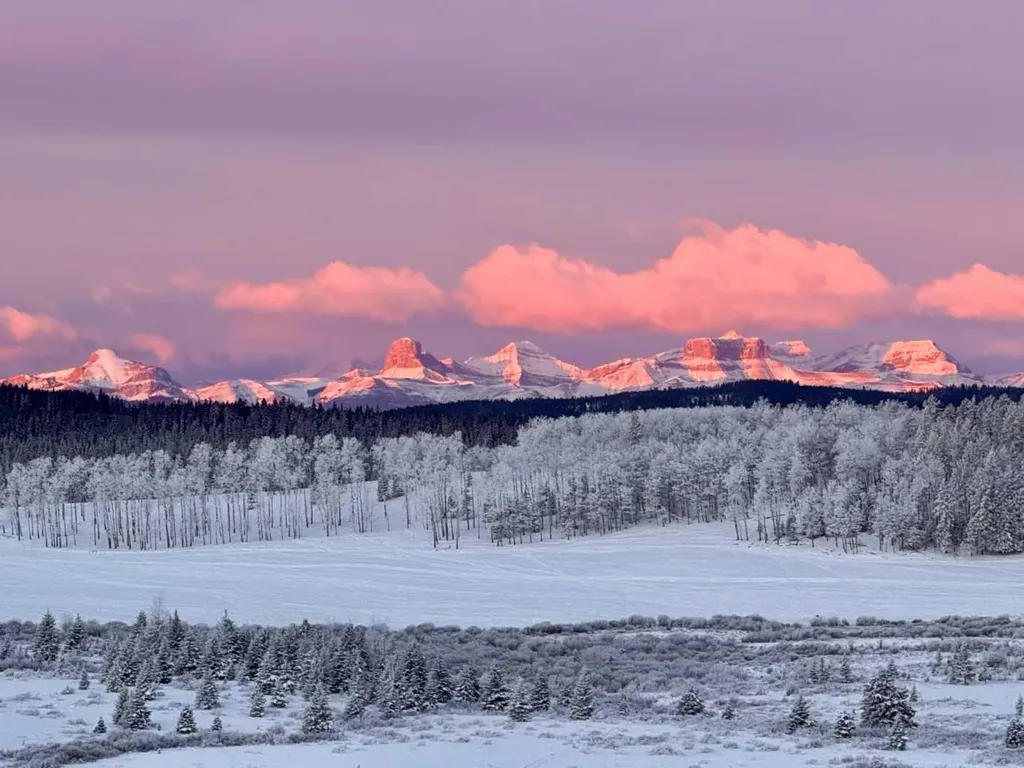 282175 Range Road 55 Rural Rocky View County AB T4C 2W1