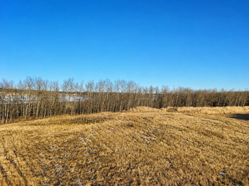 5130 40 Avenue Innisfail AB T4G 1Z1
