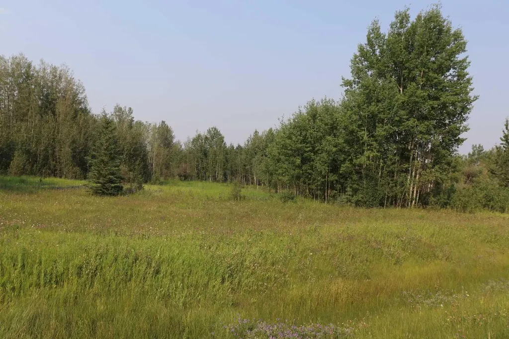 NE-26-53-10 Hwy 16w Rural Yellowhead County AB T0E 2M0