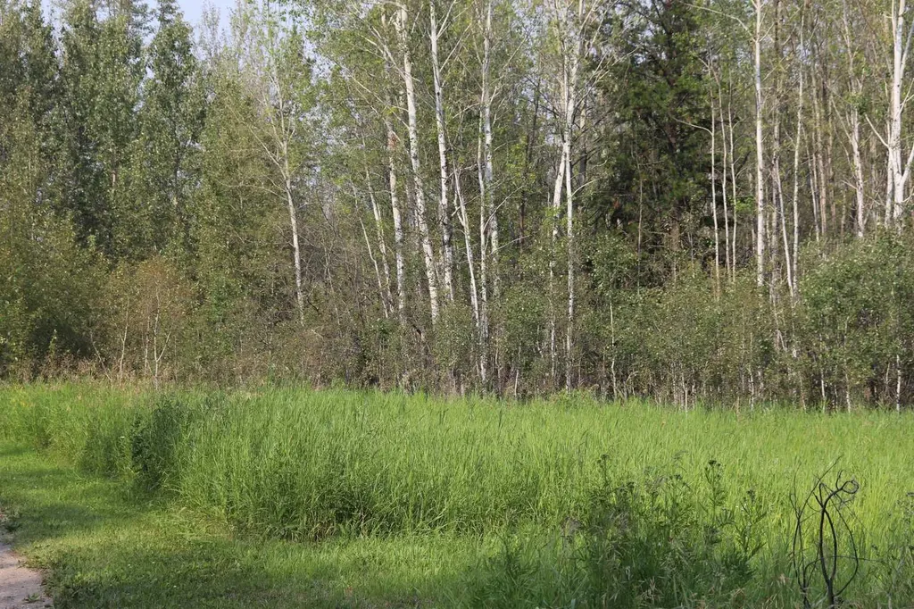 NE-26-53-10 Hwy 16w Rural Yellowhead County AB T0E 2M0