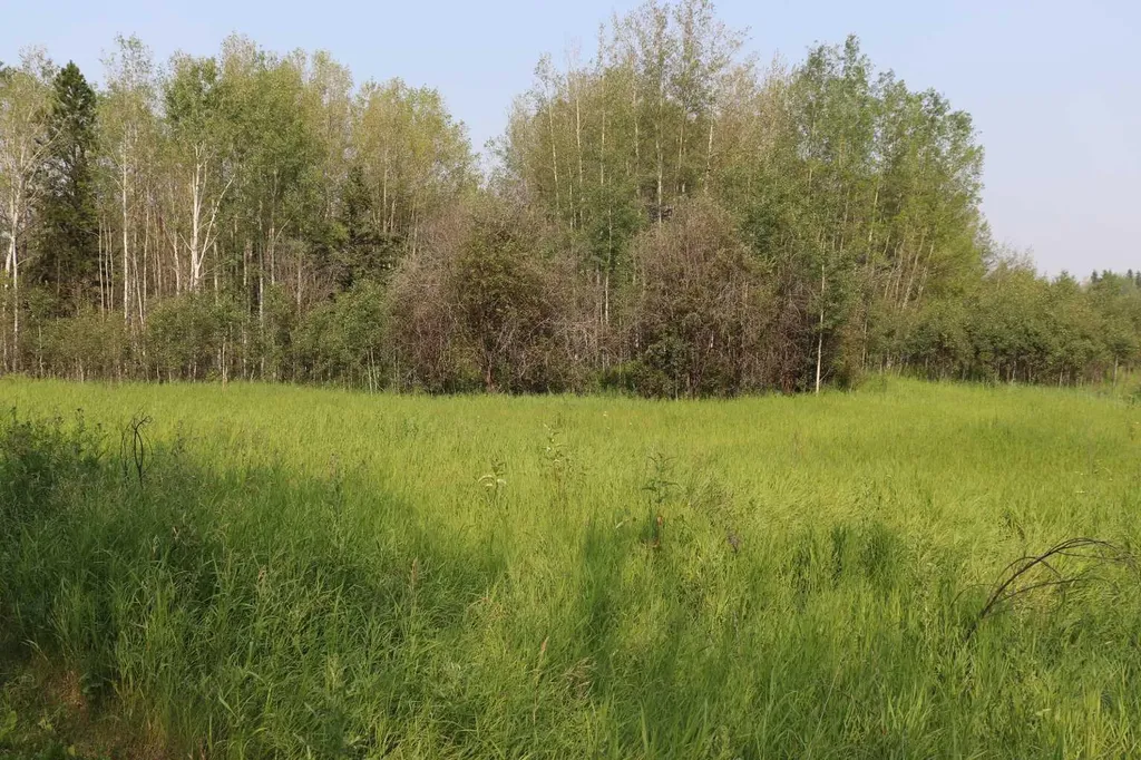 NE-26-53-10 Hwy 16w Rural Yellowhead County AB T0E 2M0