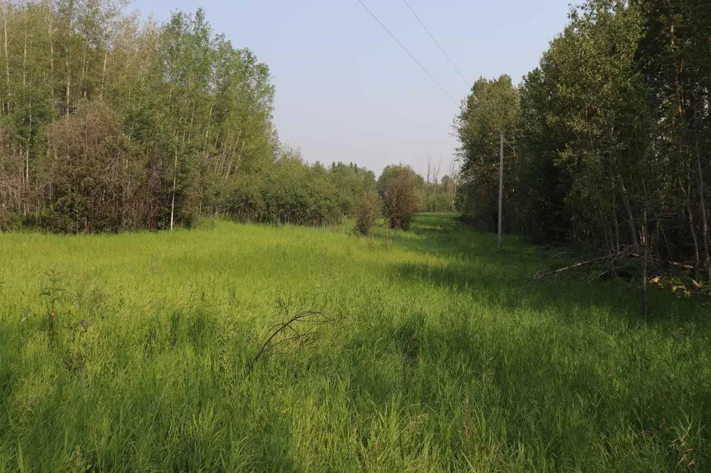NE-26-53-10 Hwy 16w Rural Yellowhead County AB T0E 2M0