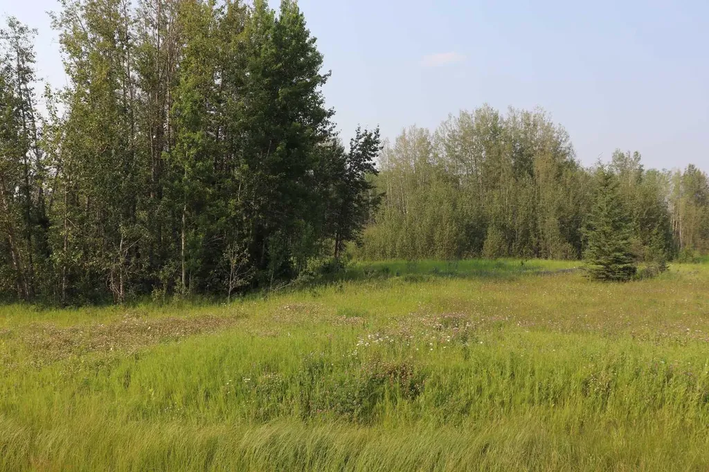 NE-26-53-10 Hwy 16w Rural Yellowhead County AB T0E 2M0