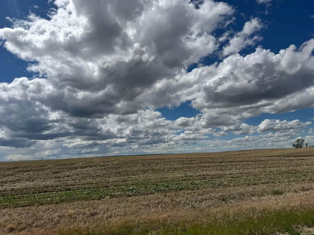 On 220 Range Rural Lethbridge County AB T1K 7N3