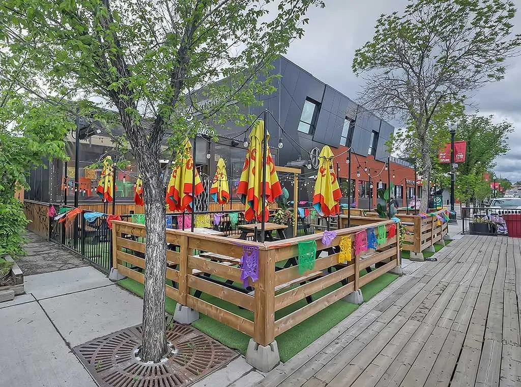1715 13 Street SW Calgary AB T2T 3P5