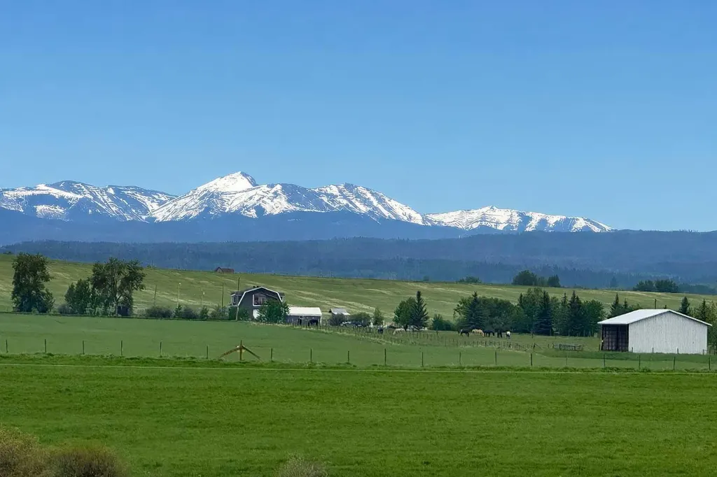 85052 169 Avenue W Rural Foothills County AB T1S0Z8