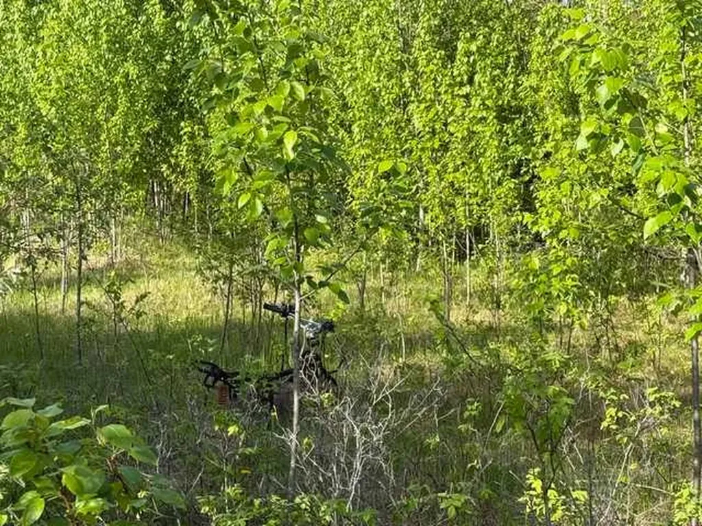 120 Park Drive Anzac AB T0P 1J0