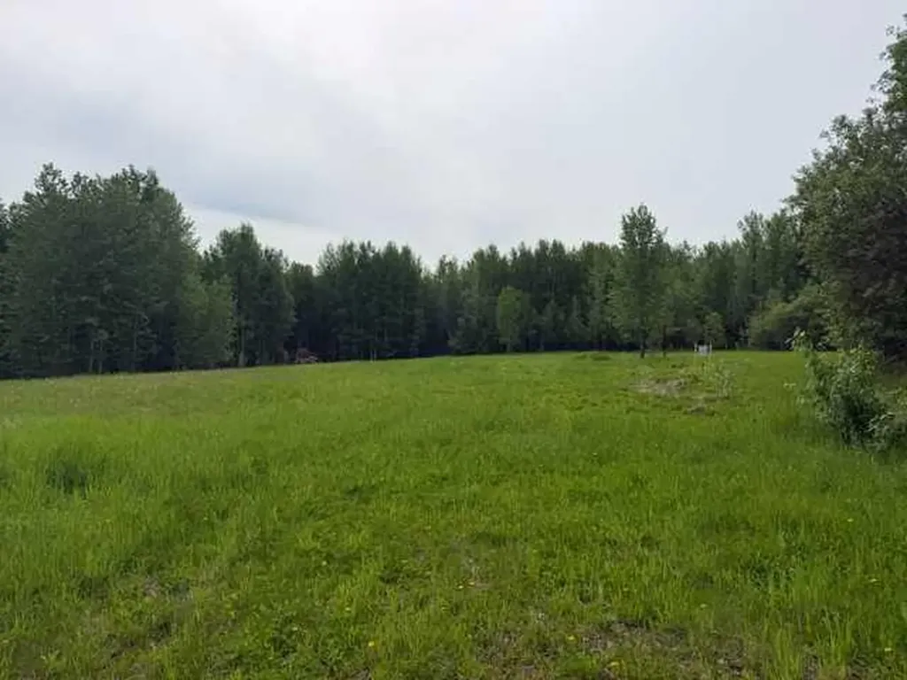53103 Range Road 172 Edson AB T7E 3E1