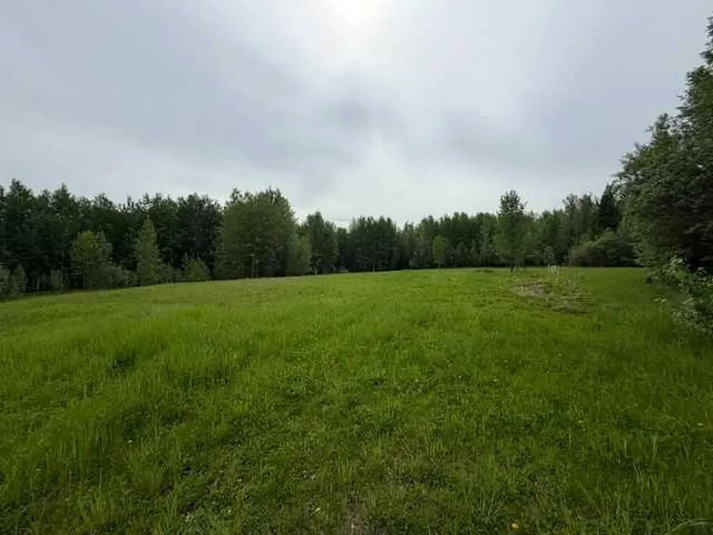 53103 Range Road 172 Rural Yellowhead County AB T7E 3E1