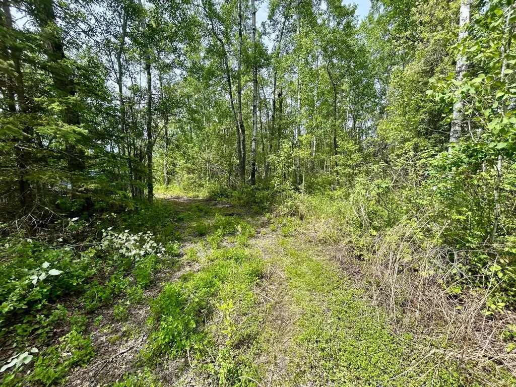 63303 867 Highway Rural Lac La Biche County AB T0A 2C0