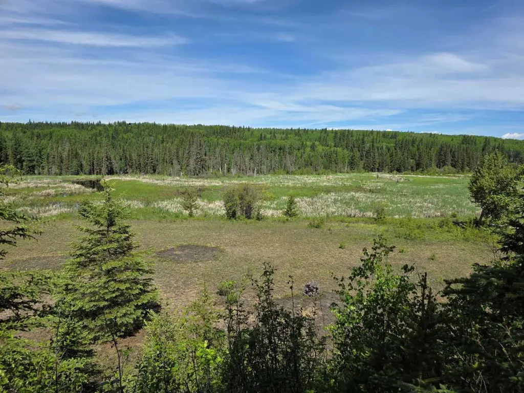 631026 Range Road 232.3 Road Rural Athabasca County AB T0G 1T0