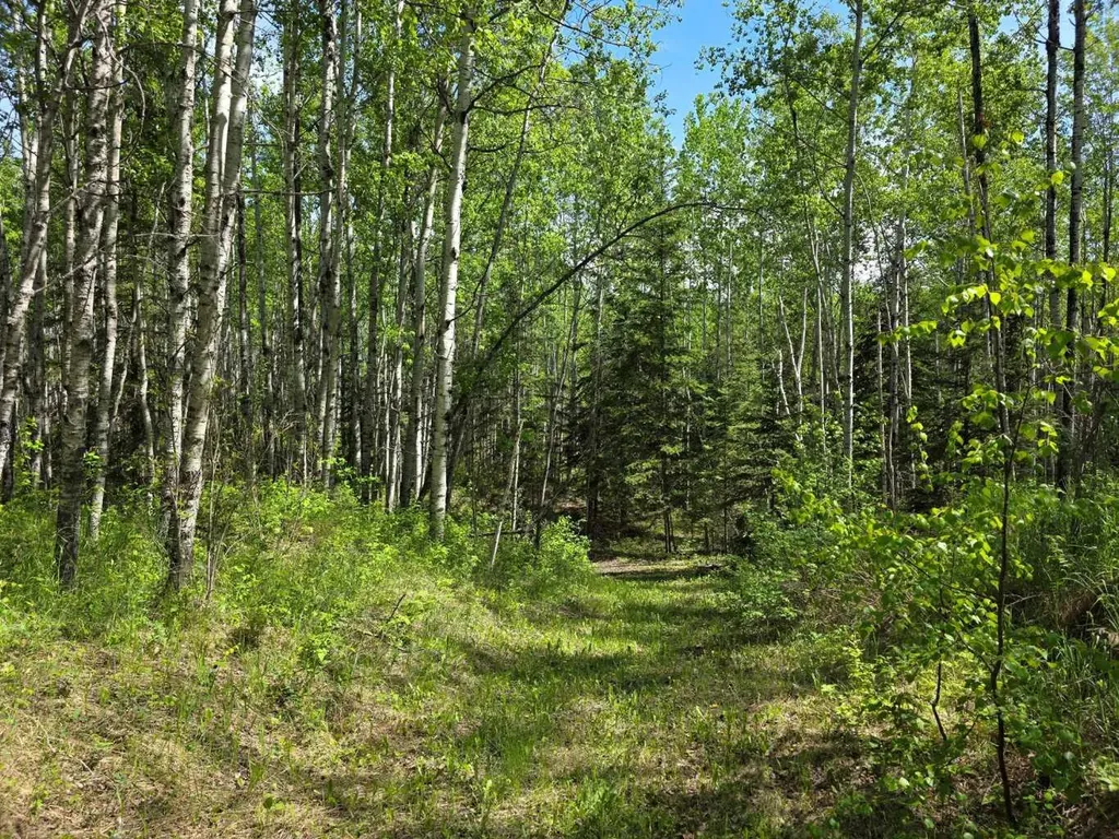 631026 Range Road 232.3 Road Rural Athabasca County AB T0G 1T0