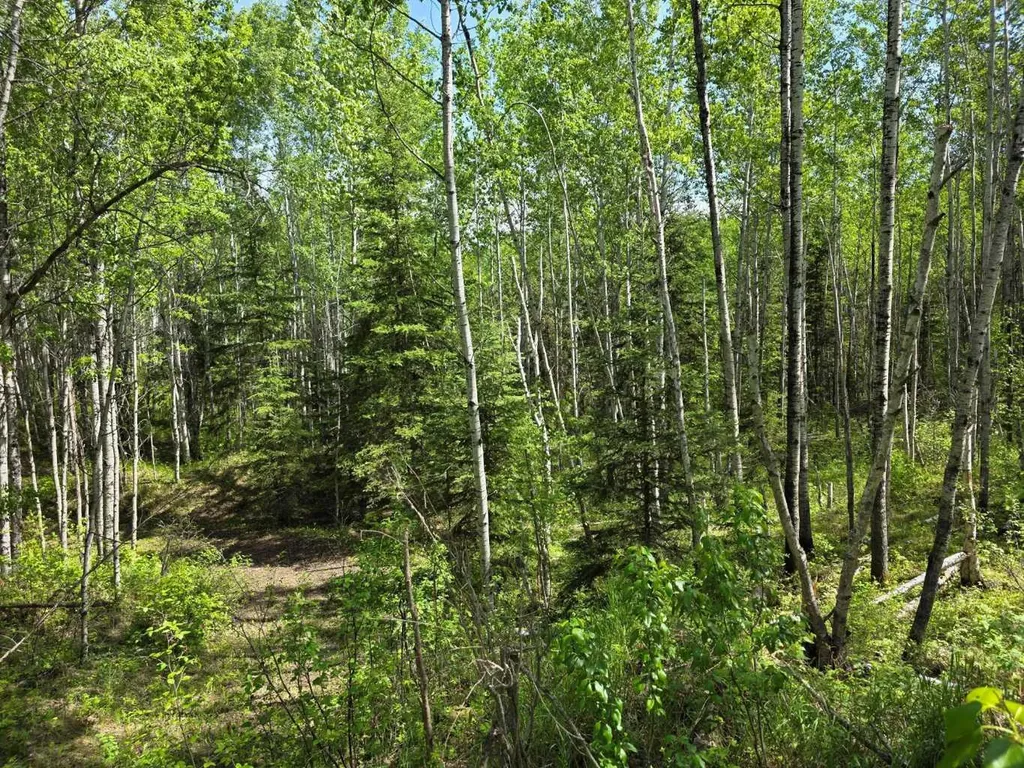 631026 Range Road 232.3 Road Rural Athabasca County AB T0G 1T0