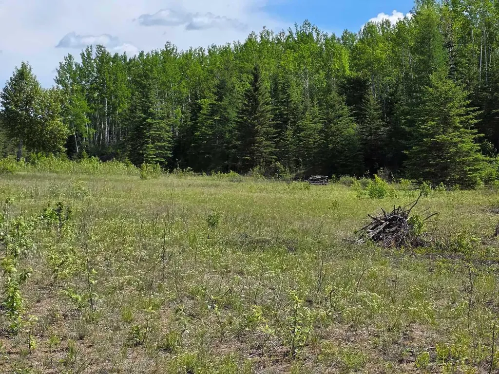 631026 Range Road 232.3 Road Rural Athabasca County AB T0G 1T0