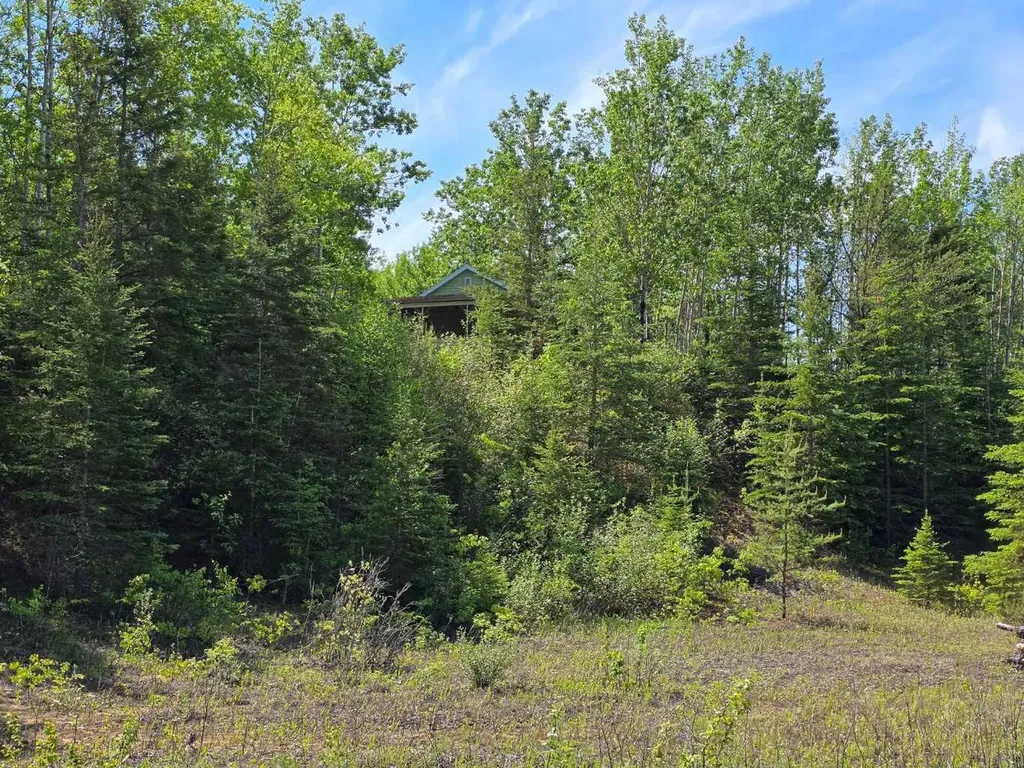 631026 Range Road 232.3 Road Rural Athabasca County AB T0G 1T0